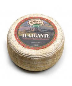 Formaggio Pecorino il...